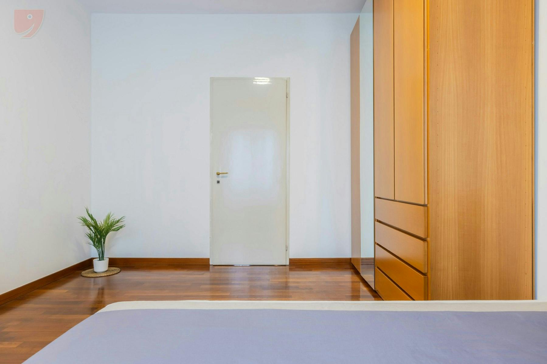 Single room Milan, 1 bed, 17m² — photo 1419