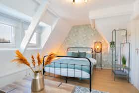 私人房间 正在以 €800 的月租出租，其位于 Rotterdam, Katendrechtse Lagedijk
