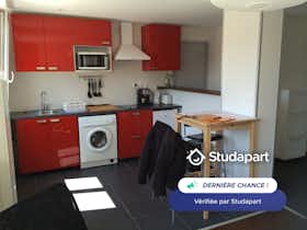Apartament de închiriat pentru 850 EUR pe lună în Grenoble, Rue Henri Moissan