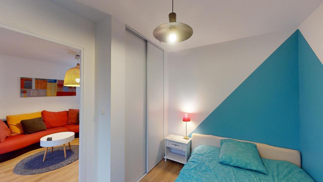 Private room for rent on Avenue Washington, Grenoble – pohled 4