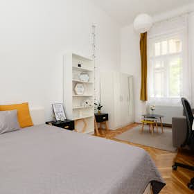 Private room for rent for €435 per month in Budapest, Kruspér utca