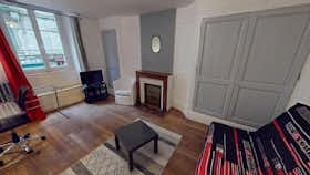 Apartament de închiriat pentru 750 EUR pe lună în Limoges, Rue François Chenieux