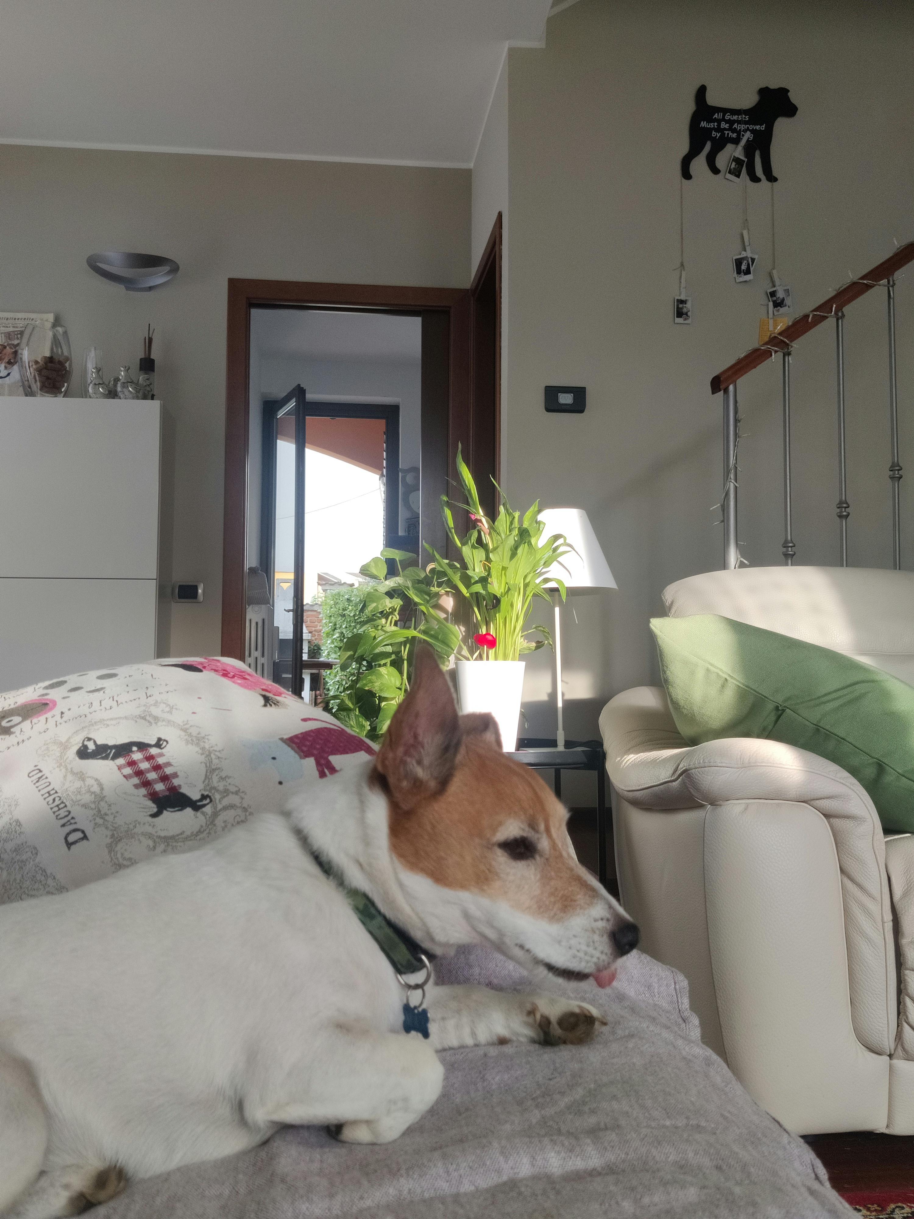 Single room Carugate, 1 bed, 60m² — photo 8
