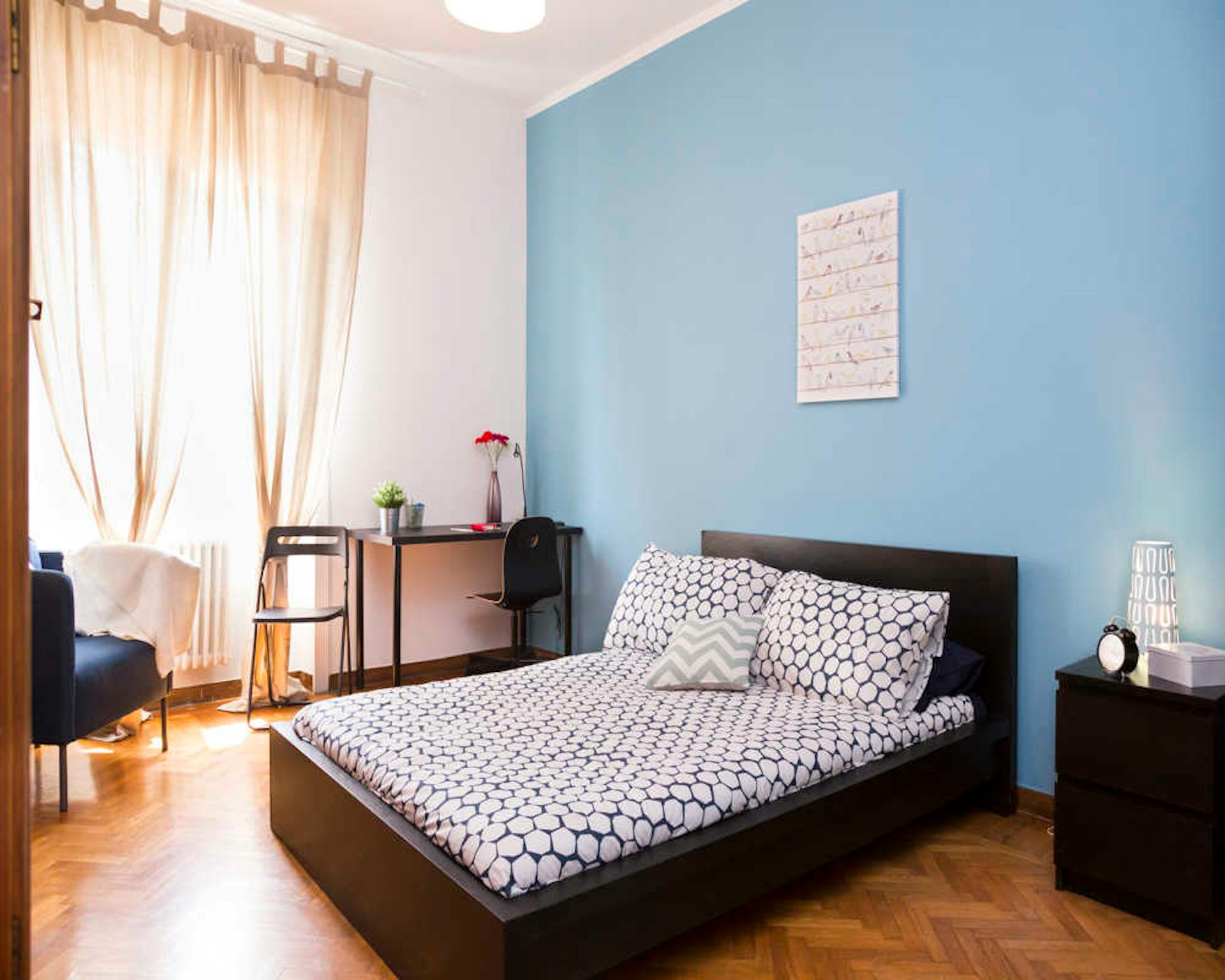 Viale Argonne, Milan preview