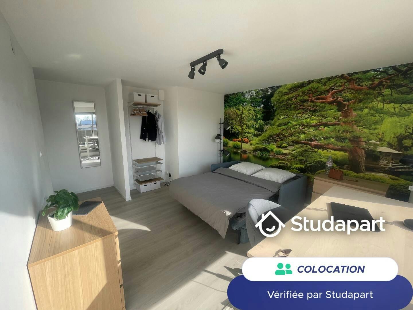 Private room for rent for €690 per month in Strasbourg, Rue des Carolingiens