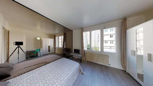 Private room for rent on Rue Professeur Joseph Renaut, Lyon