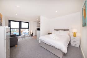单间公寓 正在以 £3,000 的月租出租，其位于 Liverpool, Wolstenholme Square