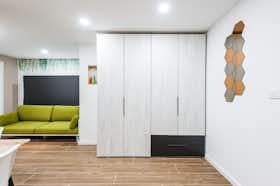 单间公寓 正在以 €900 的月租出租，其位于 Valencia, Avinguda de Blasco Ibáñez