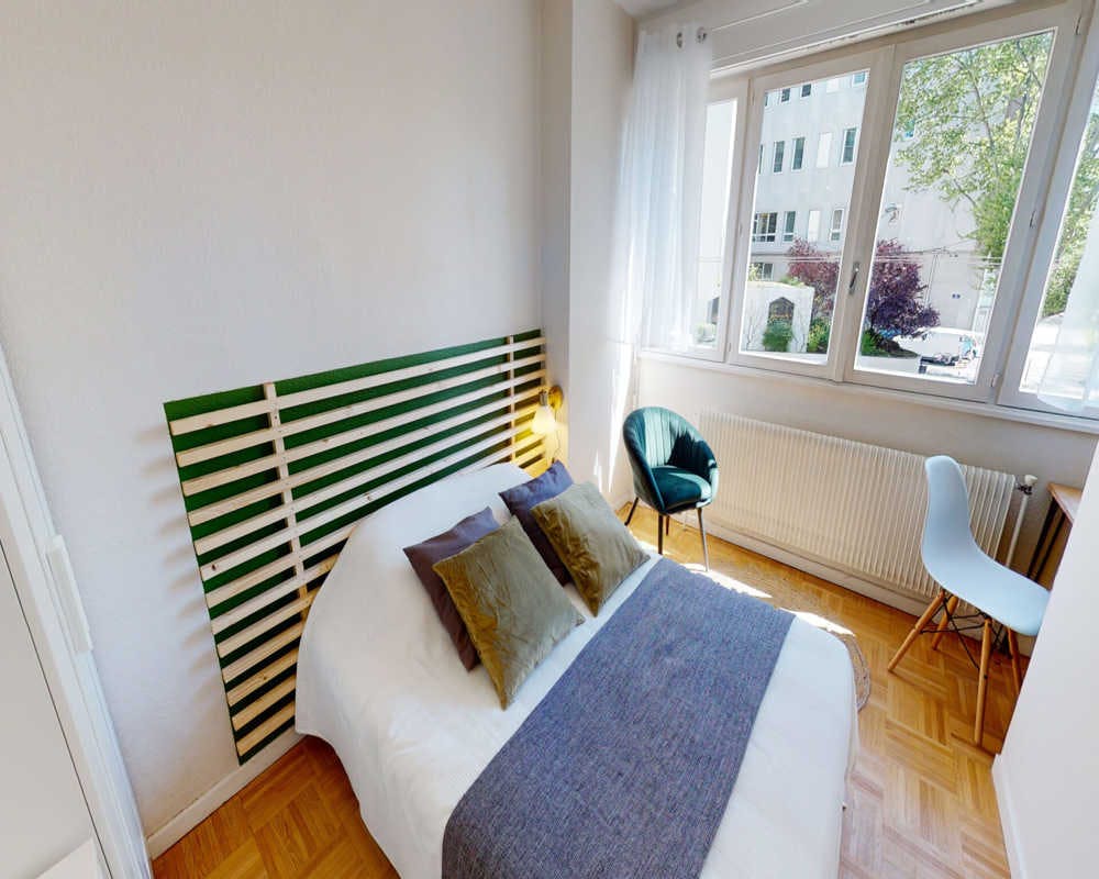 Private room in Rue des Émeraudes, Lyon (1454096) ROOM