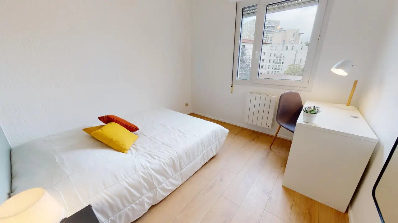 Rue André Bollier, Lyon preview