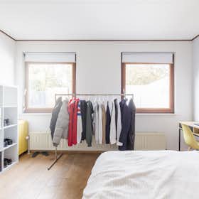 WG-Zimmer for rent for 850 € per month in The Hague, Katwijkselaan