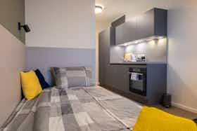 单间公寓 正在以 €599 的月租出租，其位于 Graz, Schönaugürtel