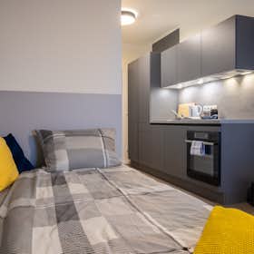 单间公寓 正在以 €599 的月租出租，其位于 Graz, Schönaugürtel