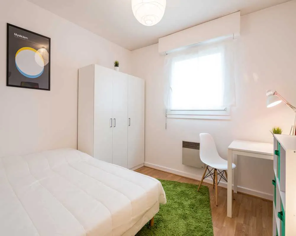 Private room in Grande Rue de la Guillotière, Lyon (1454605) ROOM