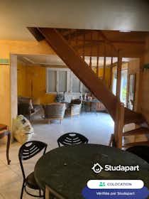 Privé kamer te huur voor € 360 per maand in Mulhouse, Passage Chaptal