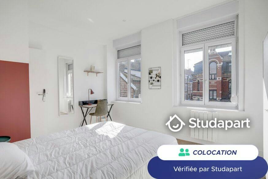Private room for rent on Boulevard Montebello, Lille - Vue 4