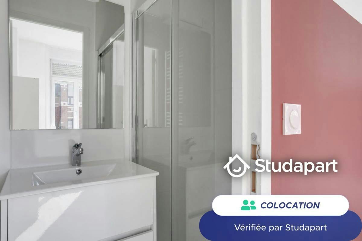 Private room for rent on Boulevard Montebello, Lille - Vue 5