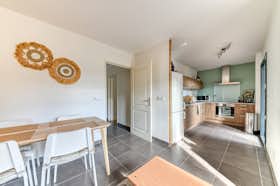 Квартира сдается в аренду за 2 130 € в месяц в Lyon, Rue Danielle Faynel-Duclos