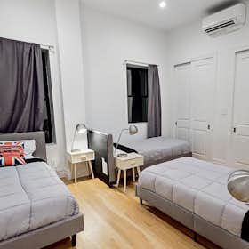 Mehrbettzimmer zu mieten für $920 pro Monat in Brooklyn, Macdonough St