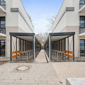 Apartment for rent for €1,325 per month in Berlin, Fischerstraße