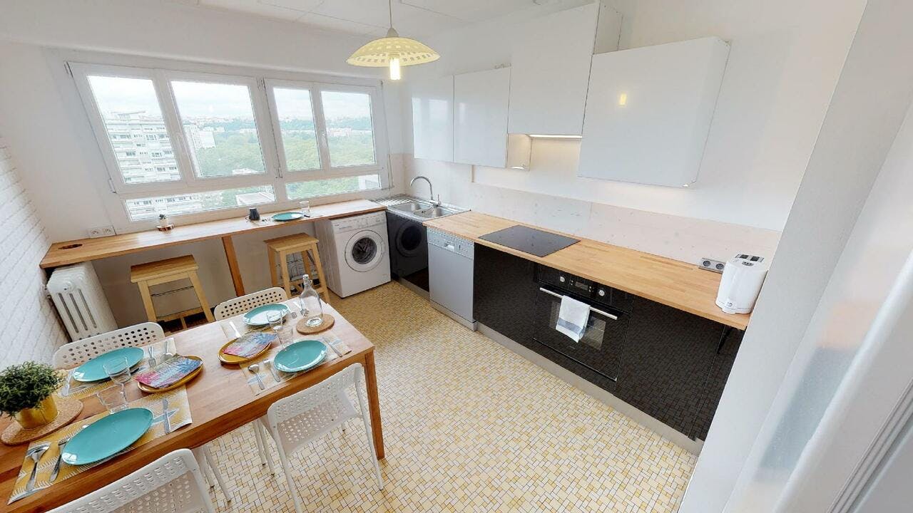 Private room for rent on Avenue Condorcet, Villeurbanne – pohled 6