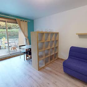 Studio for rent for € 370 per month in Saint-Étienne, Rue des Armuriers