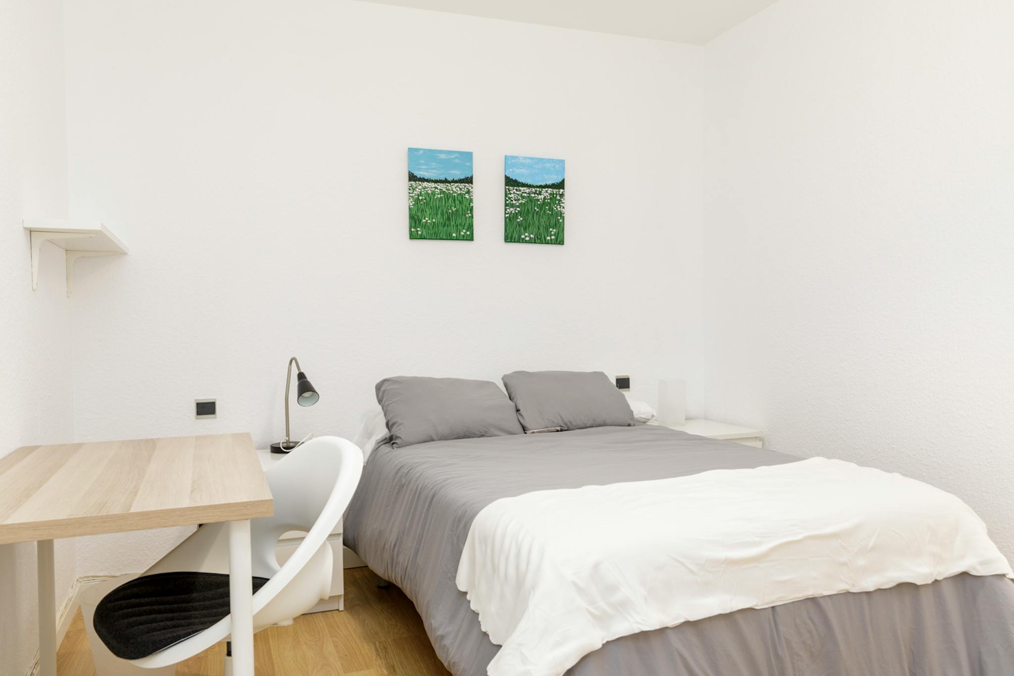 Plaza Miguel Salamero, Zaragoza preview