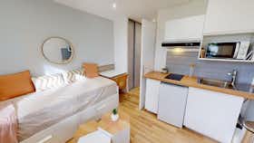 Monolocale in affitto a 490 € al mese a Saint-Martin-d’Hères, Rue Honoré Daumier