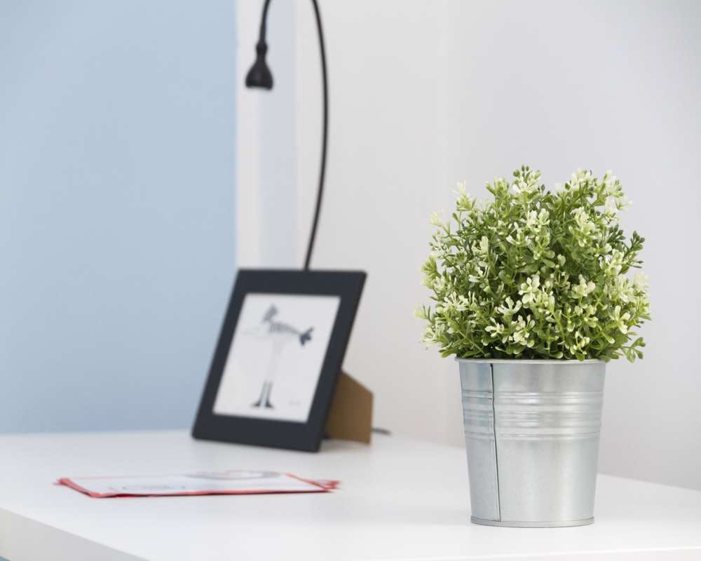 Viale Carlo Espinasse, Milan