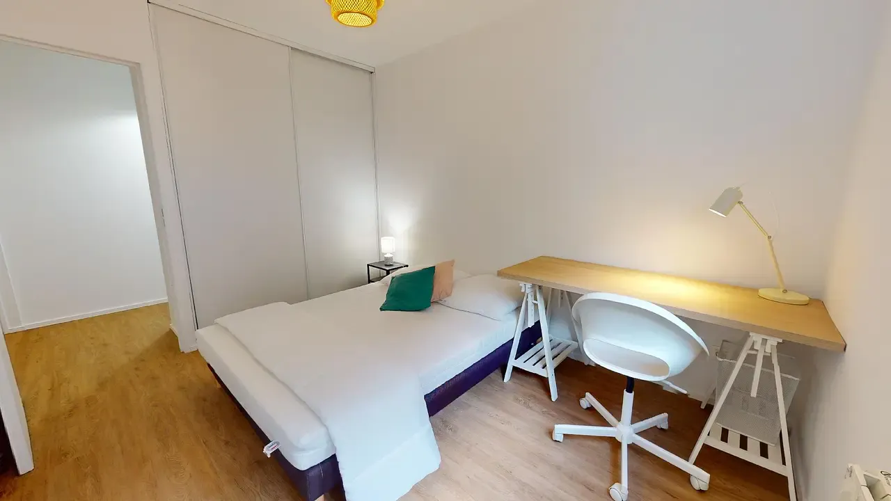 Private room in Avenue du 25ème Régiment de Tirailleurs Sénégalais, Lyon (1456120) ROOM 2