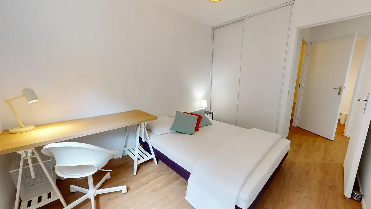 Private room in Avenue 25ème Rgt Tirailleurs Sénégalais, Lyon (1456122) ROOM 2