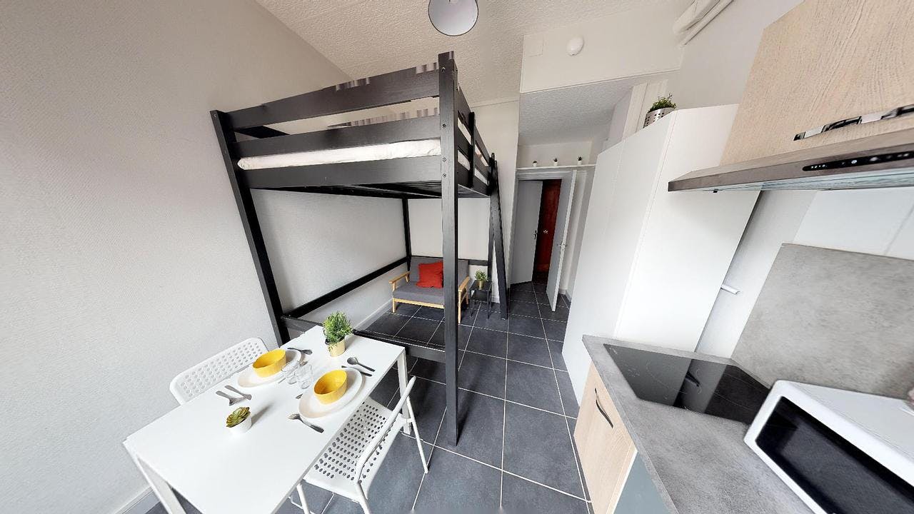 Apartment for rent on Rue Henri Pensier, Lyon - Widok 4
