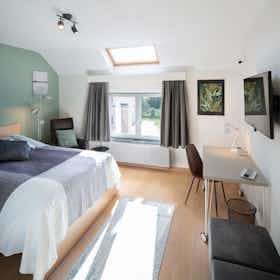 Приватна кімната за оренду для 800 EUR на місяць у Zaventem, Schapenweg