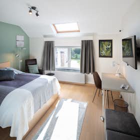 私人房间 正在以 €800 的月租出租，其位于 Zaventem, Schapenweg
