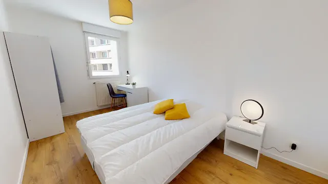 Private room in Cours Émile-Zola, Villeurbanne (1456486) room image 1