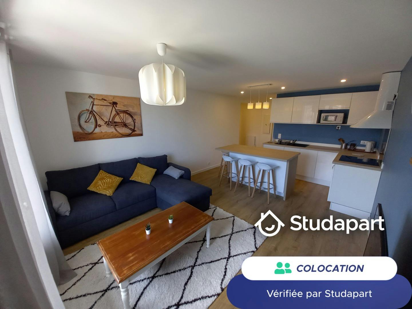 Private room for rent on Avenue Honoré Baradat, Pau – pohled 3