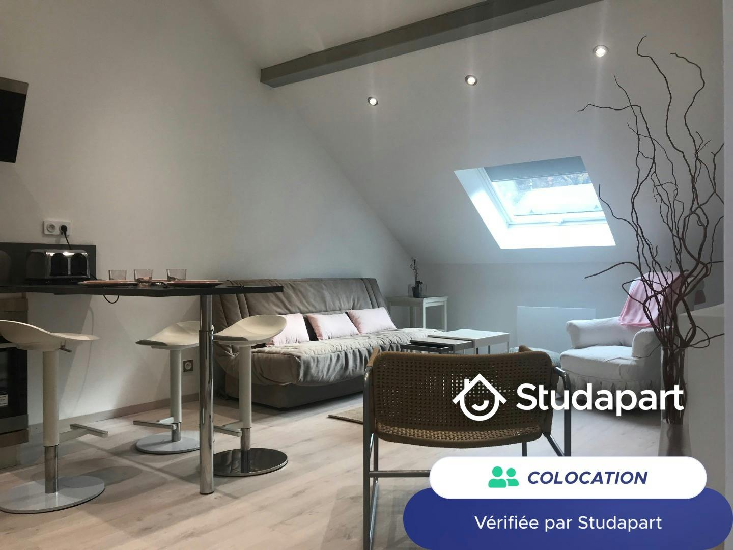 Stanza privata in affitto a 530 € al mese a Cluses, Grande Rue