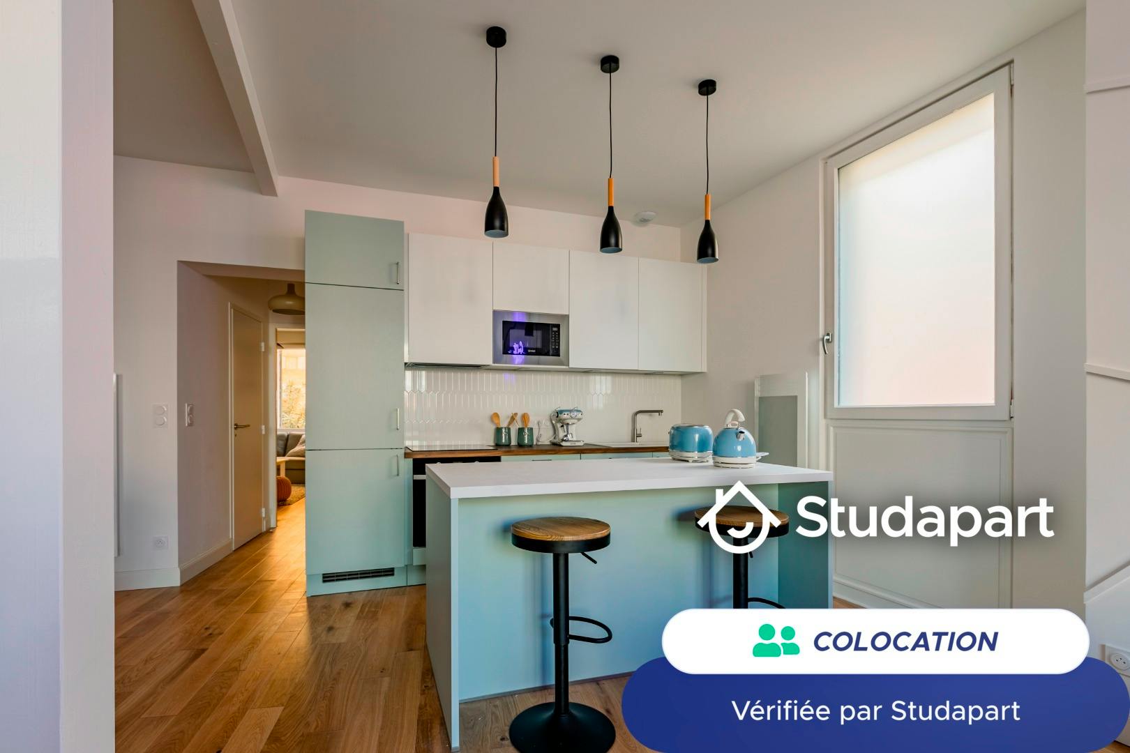 Private room for rent on Rue des Terres-de-Borde, Bordeaux - Vue 4