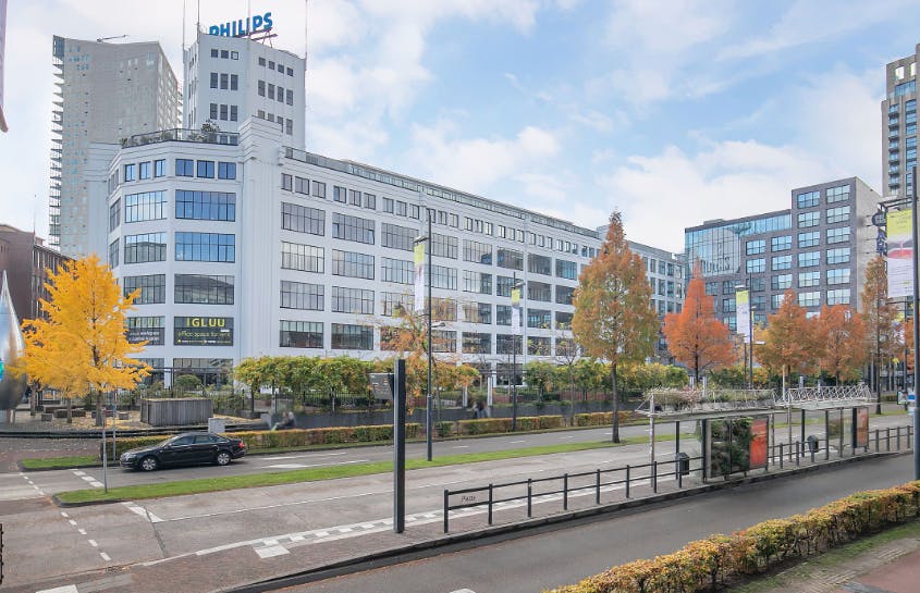 preview gallery tile