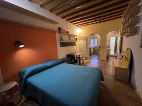 Studio for rent for €1,290 per month in Florence, Via Santa Reparata