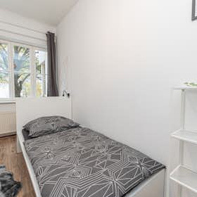 Private room for rent for €640 per month in Berlin, Hainstraße