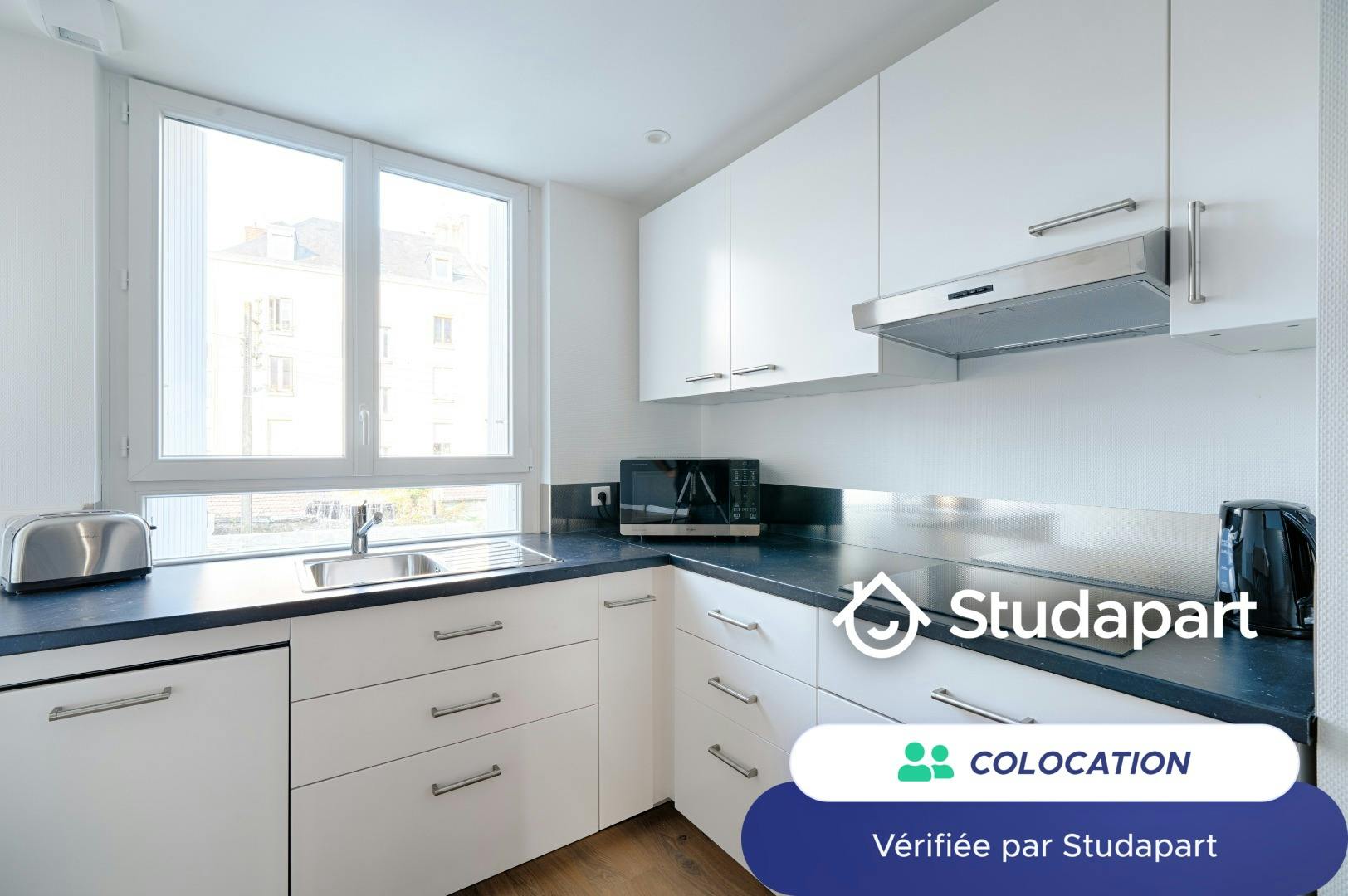 Private room for rent on Boulevard des Martyrs Nantais de la Résistance, Nantes - Plus