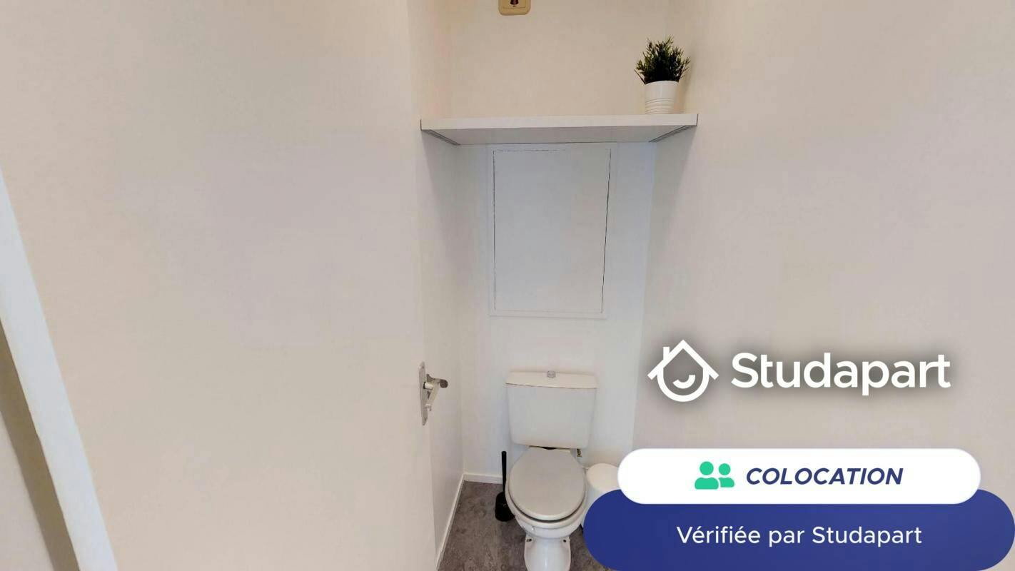 Private room for rent on Rue de Saint-Cloud, Lyon - Vue 3