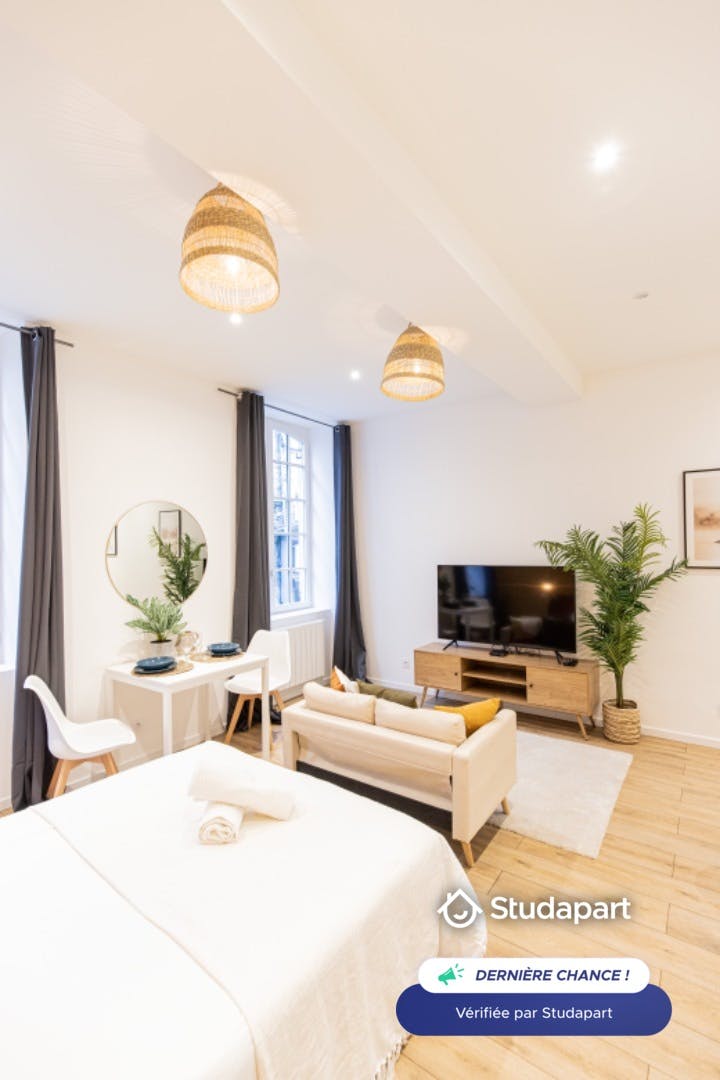 Apartment for rent on Rue de la Ville, Saint-Étienne - Pohľad 3