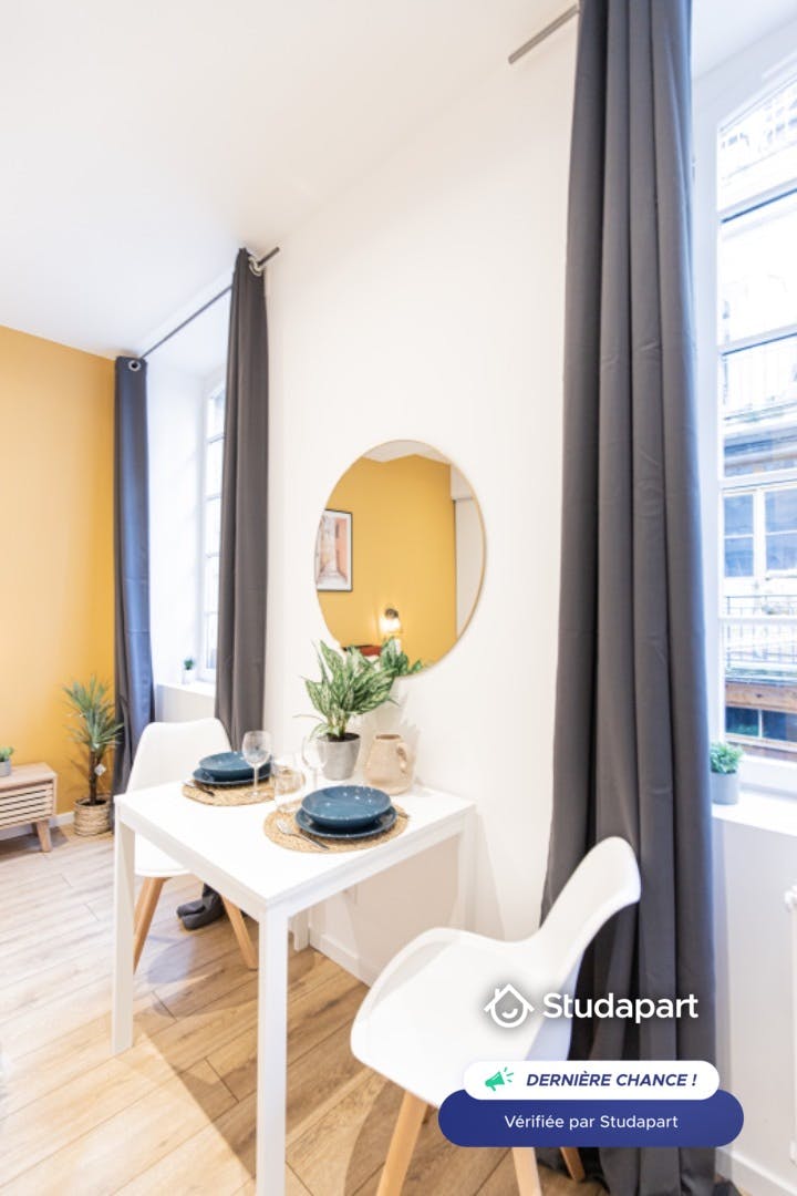 Apartment for rent on Rue de la Ville, Saint-Étienne - Pohľad 5