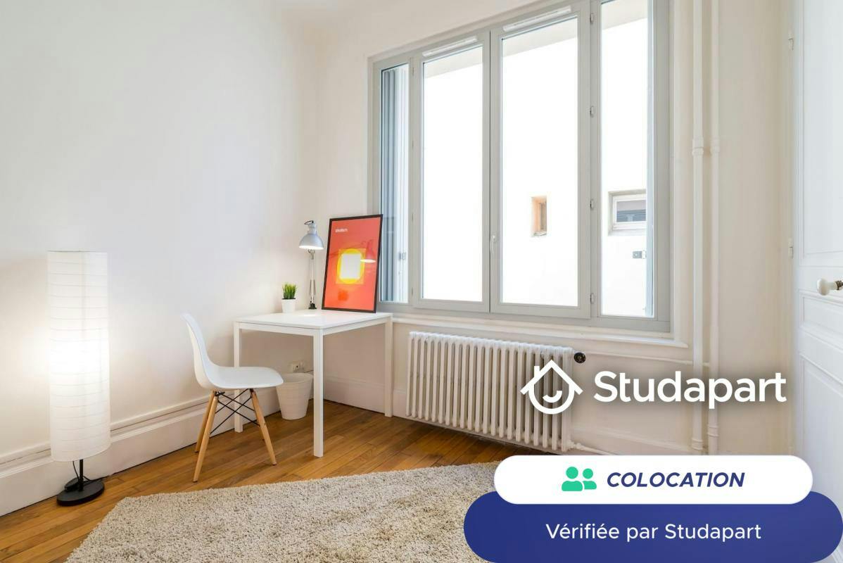Private room for rent on Rue Quivogne, Lyon - Vue 3