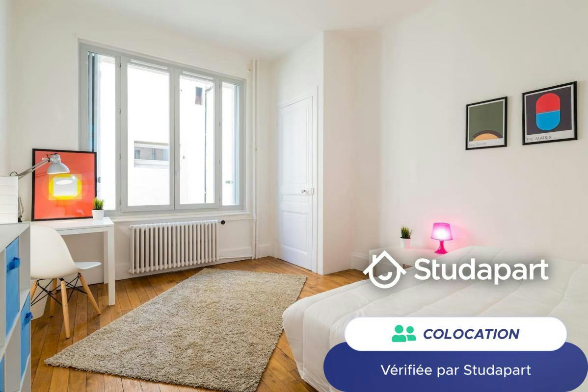Private room for rent on Rue Quivogne, Lyon - Vue 5
