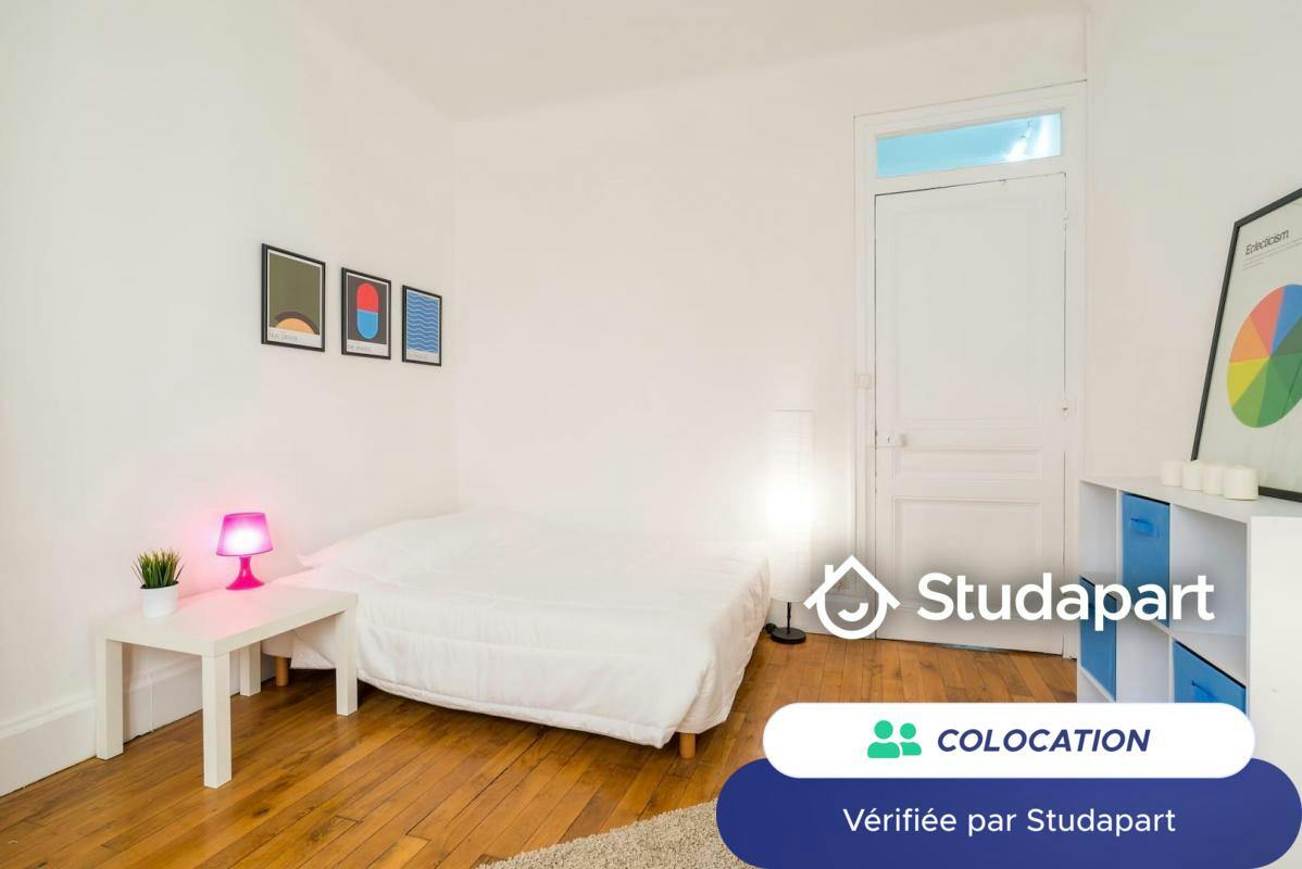 Private room for rent on Rue Quivogne, Lyon - Vue 4