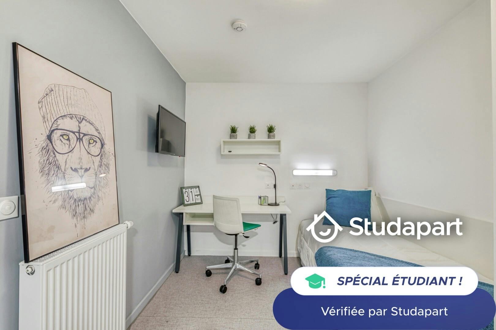 Private room for rent on Rue des Arts et Métiers, Grenoble - Vue 6