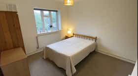Отдельная комната сдается в аренду за 1 169 £ в месяц в London, Lochinvar Street